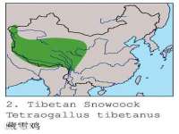 郑州晟禾生物科技有限公司