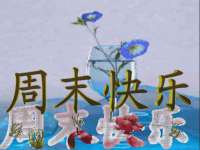 郑州晟禾生物科技有限公司