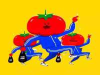 郑州晟禾生物科技有限公司