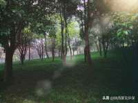 郑州晟禾生物科技有限公司