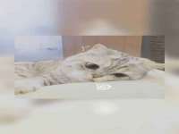 郑州晟禾生物科技有限公司