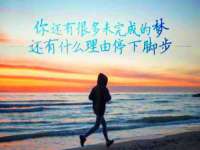 郑州晟禾生物科技有限公司
