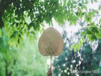 郑州晟禾生物科技有限公司