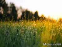 郑州晟禾生物科技有限公司