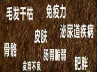 郑州晟禾生物科技有限公司