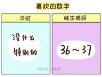 郑州晟禾生物科技有限公司