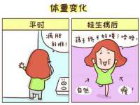 郑州晟禾生物科技有限公司