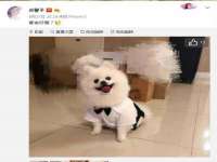 郑州晟禾生物科技有限公司