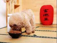 郑州晟禾生物科技有限公司