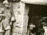 郑州晟禾生物科技有限公司