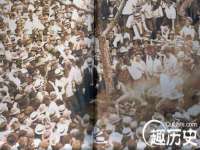 郑州晟禾生物科技有限公司