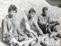 郑州晟禾生物科技有限公司