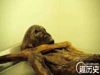 郑州晟禾生物科技有限公司