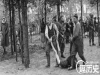 郑州晟禾生物科技有限公司