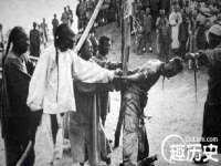 郑州晟禾生物科技有限公司