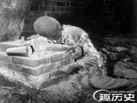 郑州晟禾生物科技有限公司