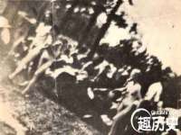 郑州晟禾生物科技有限公司