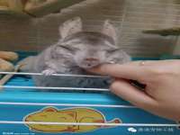 郑州晟禾生物科技有限公司
