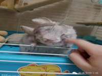 郑州晟禾生物科技有限公司