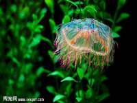 郑州晟禾生物科技有限公司