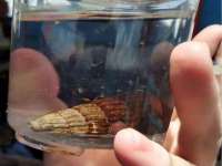郑州晟禾生物科技有限公司