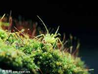 郑州晟禾生物科技有限公司