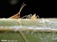 郑州晟禾生物科技有限公司
