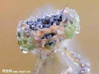 郑州晟禾生物科技有限公司