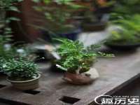 郑州晟禾生物科技有限公司