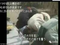 郑州晟禾生物科技有限公司