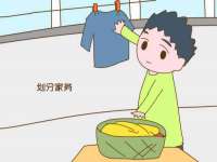 郑州晟禾生物科技有限公司