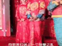 郑州晟禾生物科技有限公司