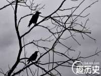 郑州晟禾生物科技有限公司