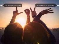 郑州晟禾生物科技有限公司