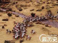 郑州晟禾生物科技有限公司