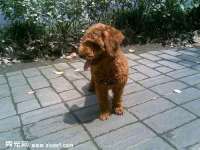 郑州晟禾生物科技有限公司
