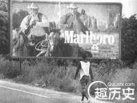 郑州晟禾生物科技有限公司