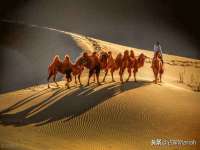 郑州晟禾生物科技有限公司