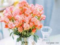 郑州晟禾生物科技有限公司