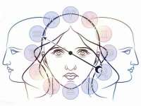 郑州晟禾生物科技有限公司