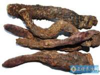 郑州晟禾生物科技有限公司