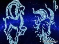 郑州晟禾生物科技有限公司