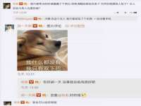 郑州晟禾生物科技有限公司