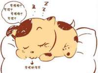 郑州晟禾生物科技有限公司