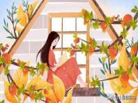 郑州晟禾生物科技有限公司