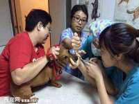 郑州晟禾生物科技有限公司