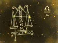 郑州晟禾生物科技有限公司