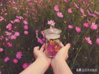 郑州晟禾生物科技有限公司