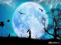郑州晟禾生物科技有限公司