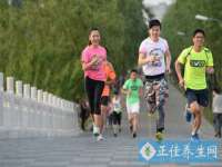 郑州晟禾生物科技有限公司